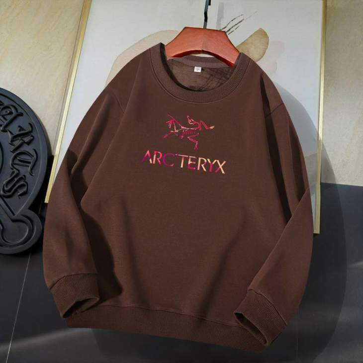 Picture of Arcteryx Sweatshirt _SKUArcteryxM-4XL11Ln0729491